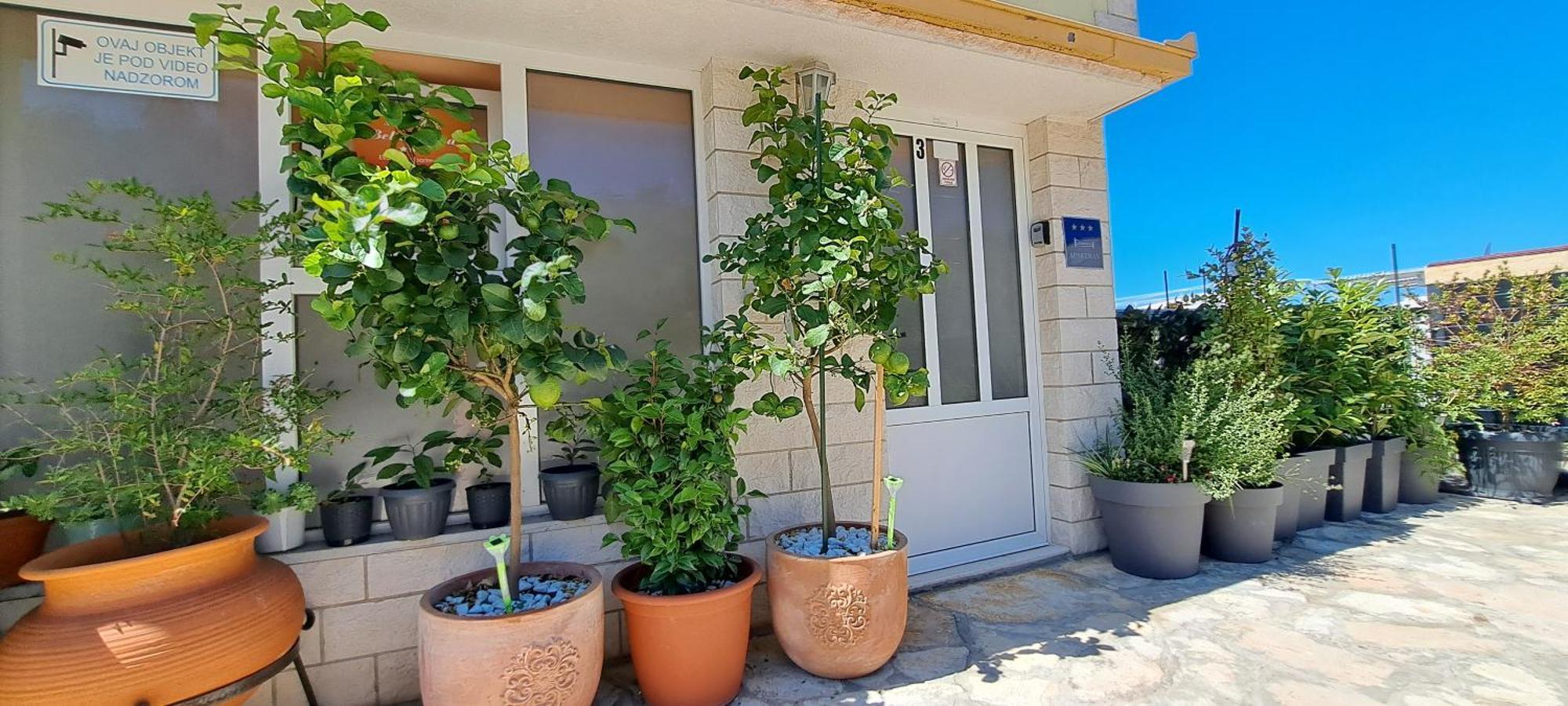 Apartments Villa Bella Vista Hvar Hvar Town Exterior foto